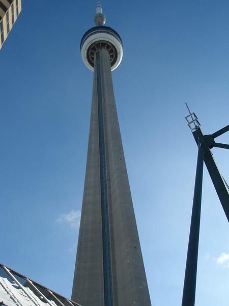 pic 440.jpg